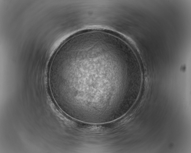 X0000115801279200911271242