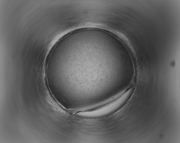 X0000115801280200911271242