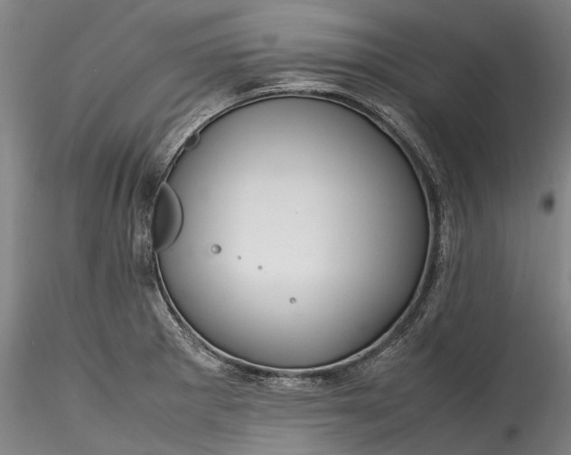 X0000115801281200911271242