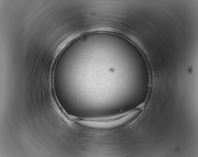 X0000115801282200911271242