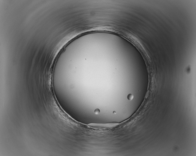 X0000115801284200911271242