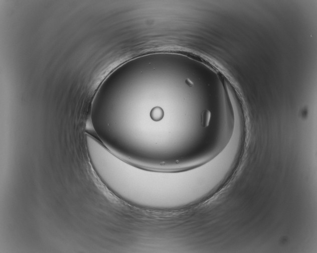 X0000115801289200911271242