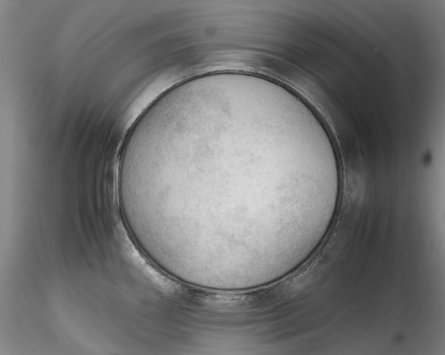 X0000115801290200911271242