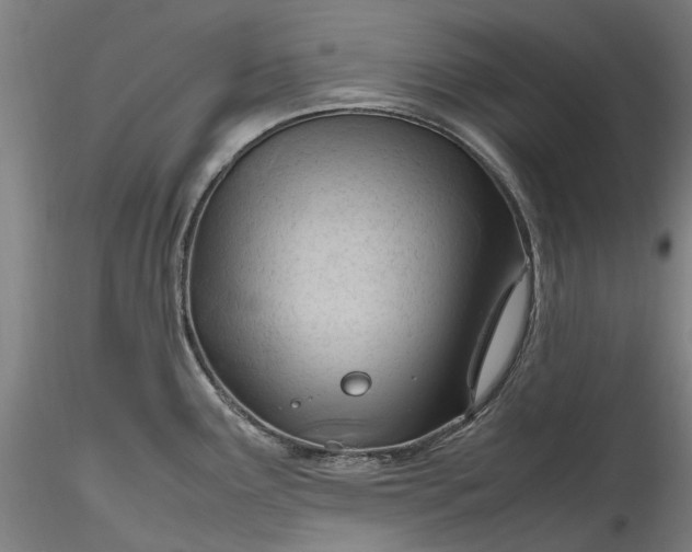 X0000115801291200911271242