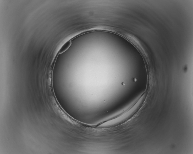 X0000115801292200911271242