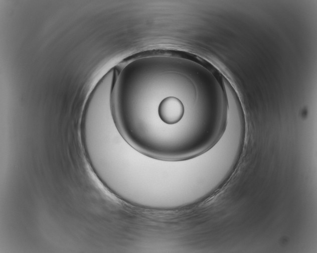 X0000115801293200911271242