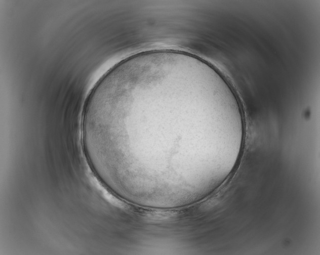 X0000115801294200911271242