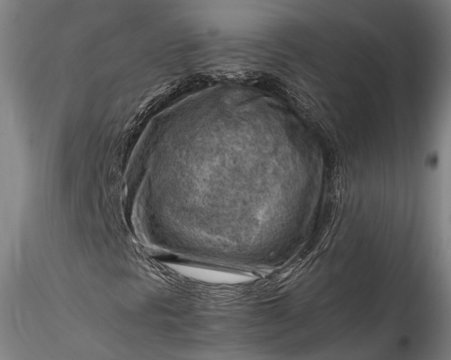 X0000115801297200911271241
