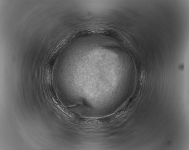 X0000115801298200911271241