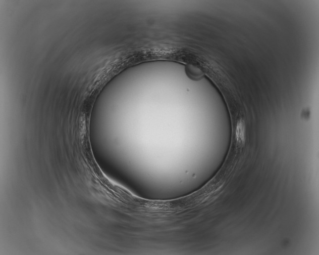 X0000115801299200911271241