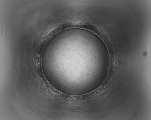 X0000115801301200911271241