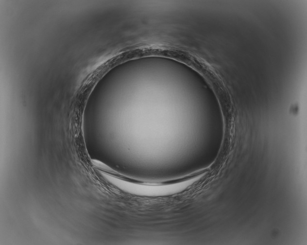 X0000115801303200911271241