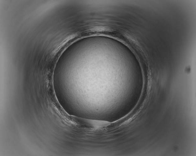 X0000115801305200911271241