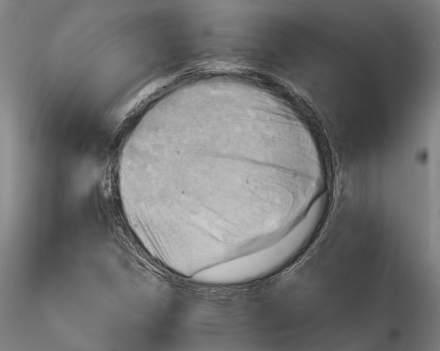 X0000115801306200911271241