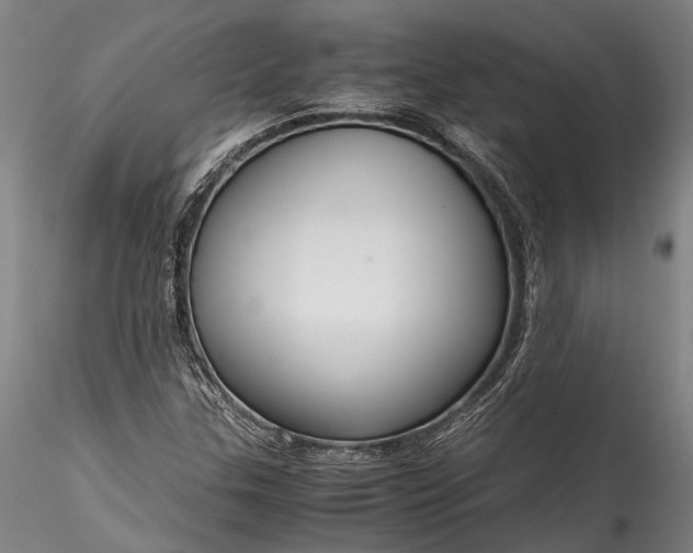X0000115801307200911271241