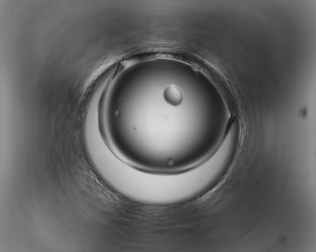 X0000115801309200911271241