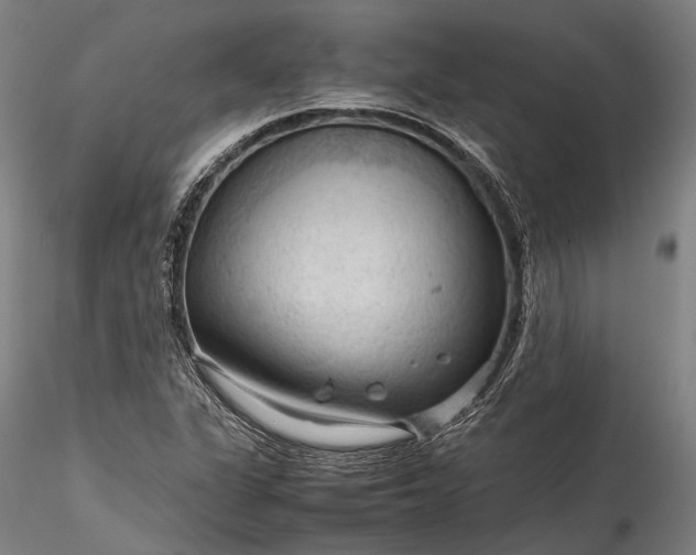 X0000115801311200911271241