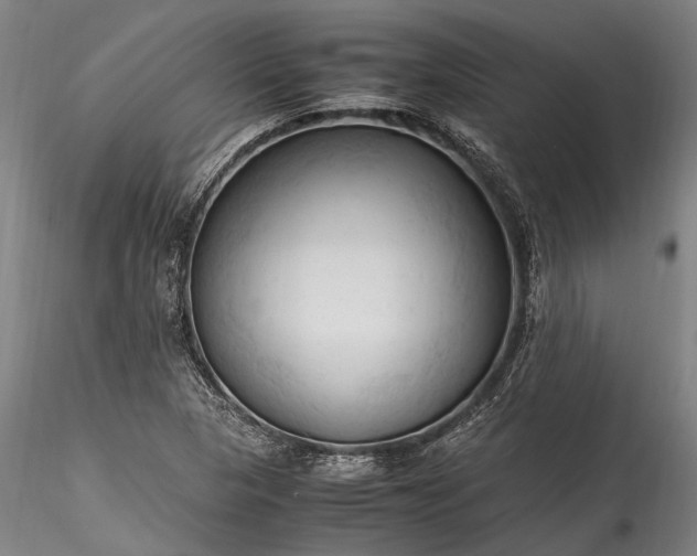 X0000115801313200911271241