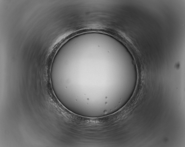 X0000115801315200911271241