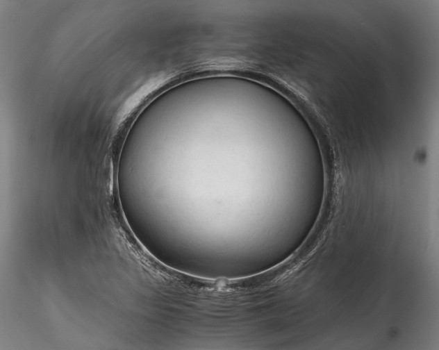 X0000115801317200911271241