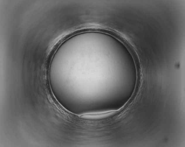 X0000115801318200911271241
