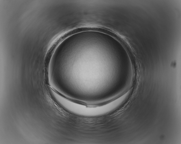X0000115801319200911271241
