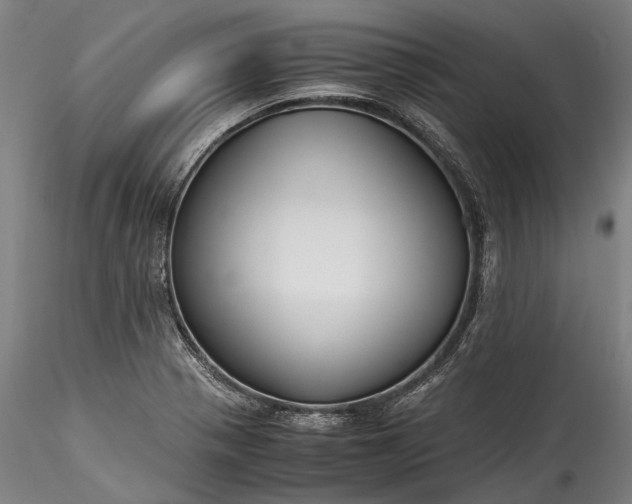 X0000115801321200911271241