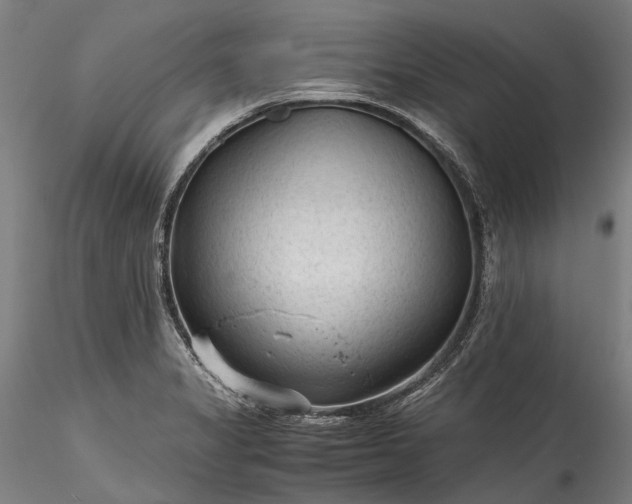 X0000115801325200911271241