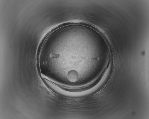 X0000115801327200911271241