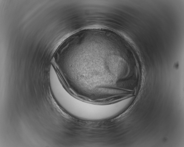 X0000115801329200911271241