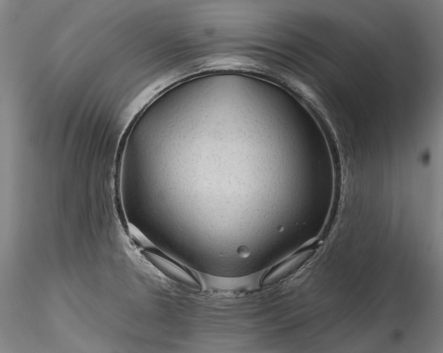 X0000115801330200911271241