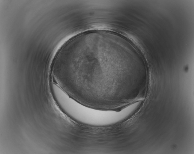 X0000115801331200911271241