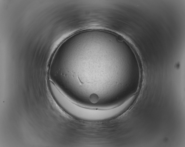 X0000115801333200911271241