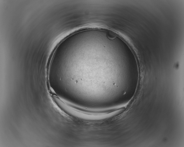 X0000115801335200911271241