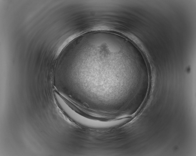 X0000115801337200911271241