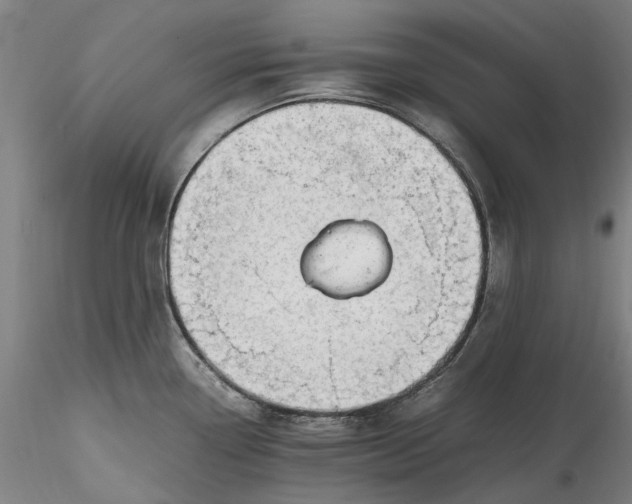 X0000115801338200911271241