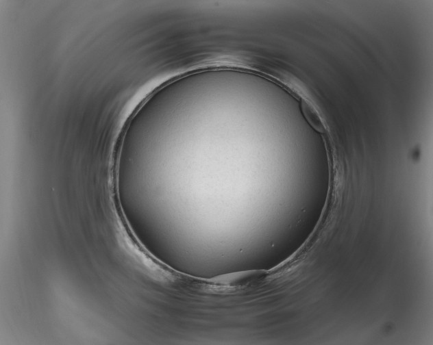 X0000115801339200911271241