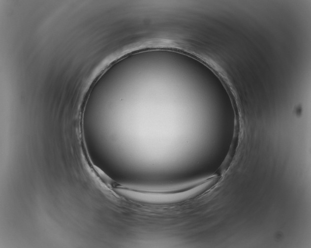 X0000115801342200911271242