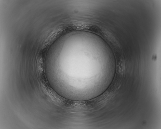 X0000115801346200911271241