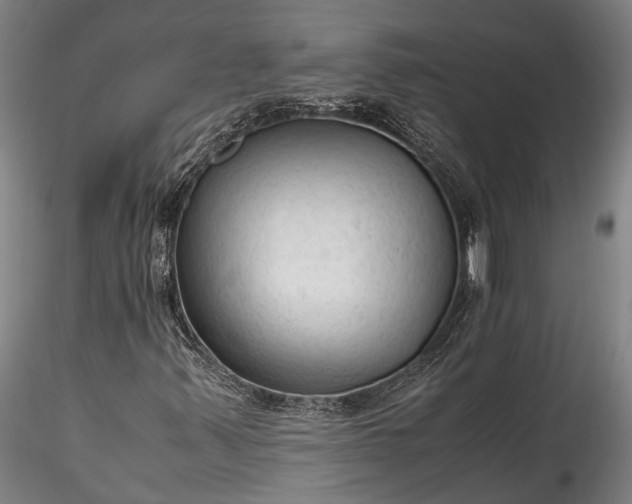 X0000115801347200911271241