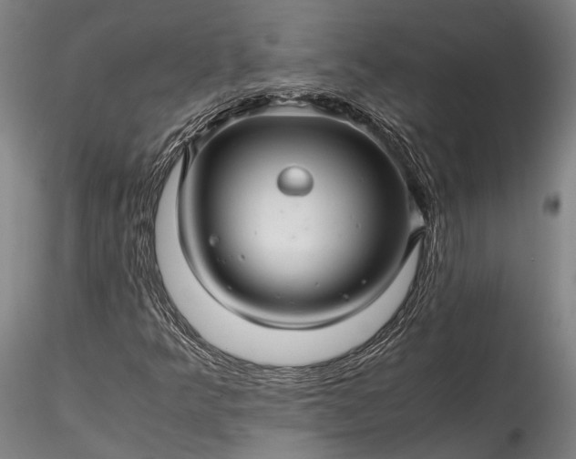 X0000115801349200911271241