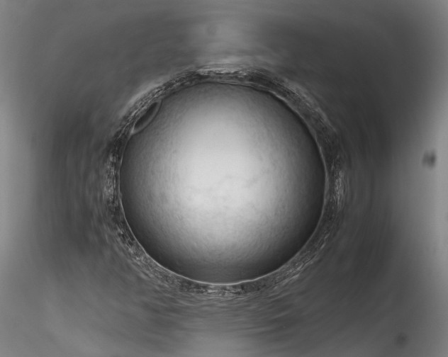 X0000115801350200911271241