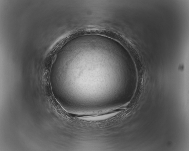 X0000115801351200911271241