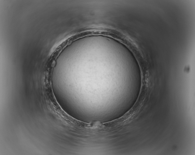 X0000115801352200911271241