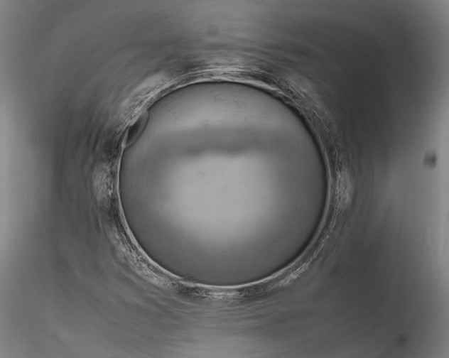 X0000115801353200911271241