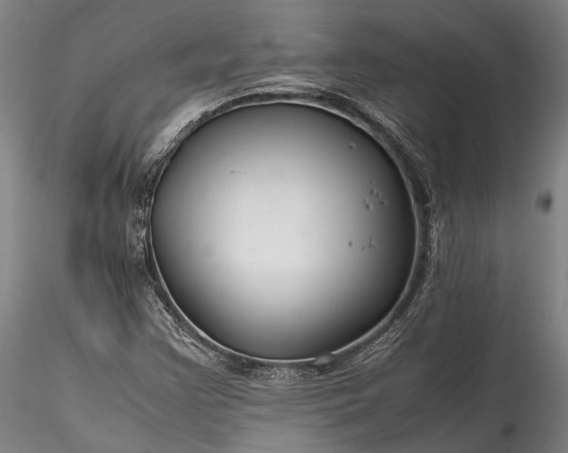 X0000115801355200911271241