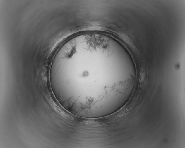 X0000115801356200911271241
