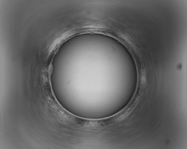 X0000115801357200911271241