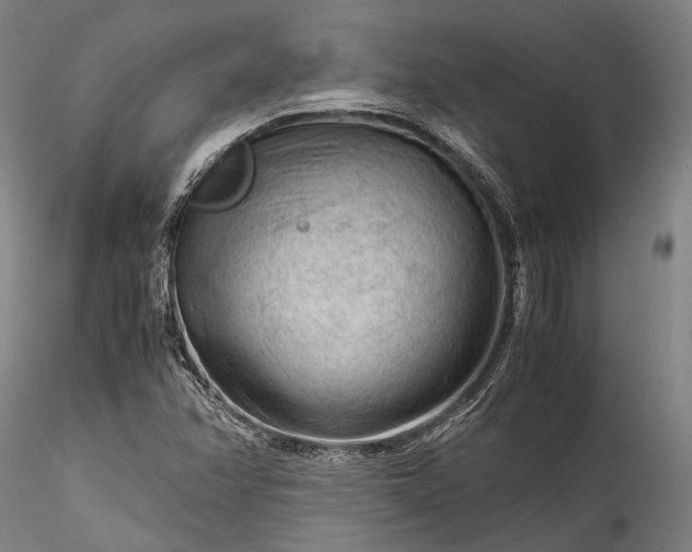 X0000115801358200911271241