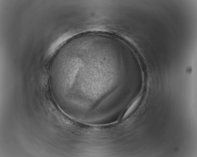 X0000115801359200911271241